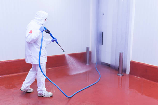 Best Sign and Awning Cleaning  in Box Elder, SD